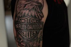 WhatsApp-Image-2026-01-28-at-16.00.48