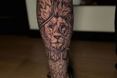 WhatsApp-Image-2026-01-28-at-16.00.55