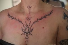 WhatsApp-Image-2026-03-24-at-17.34.25