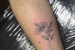 WhatsApp-Image-2026-03-24-at-17.34.36