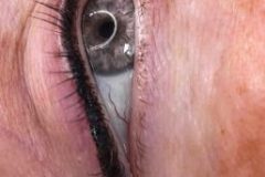 a00e4ce9898cb3f6cd1092e567afe12a